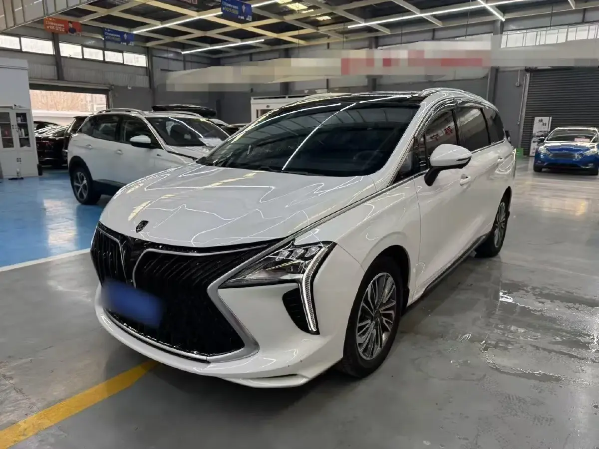 2022 DongFeng Forthing Yacht 1.5T 197HP L4 7DCT