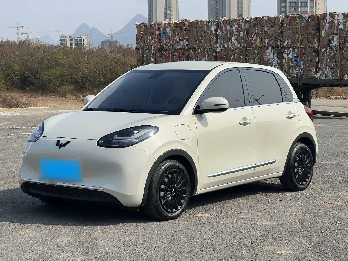 2023 WuLing BinGuo BEV 31.9KWH
