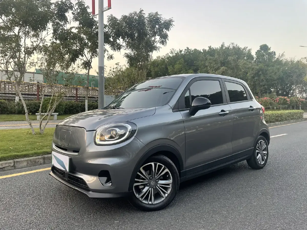 2021 Leapmotor T03 BEV 38KWH