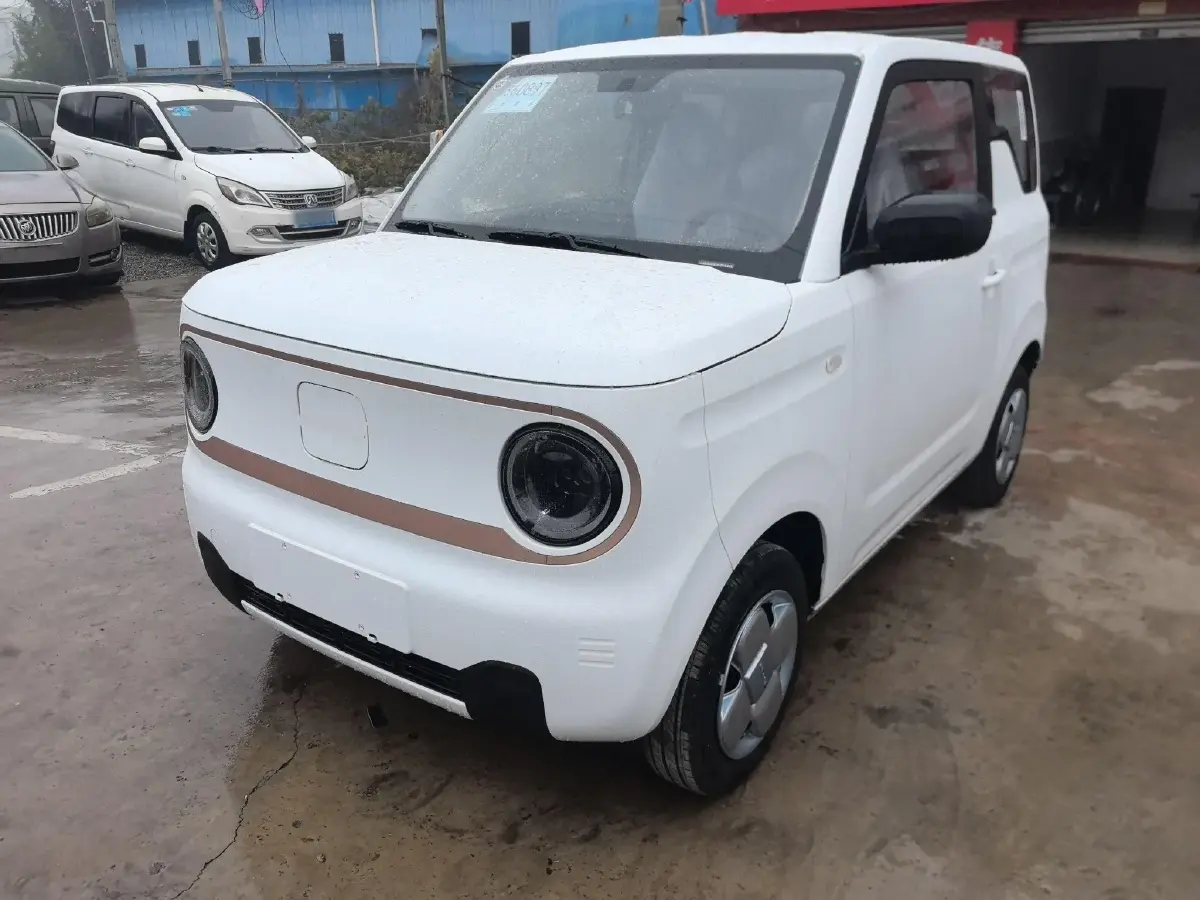 2024 Geely Panda BEV 17.03KWH