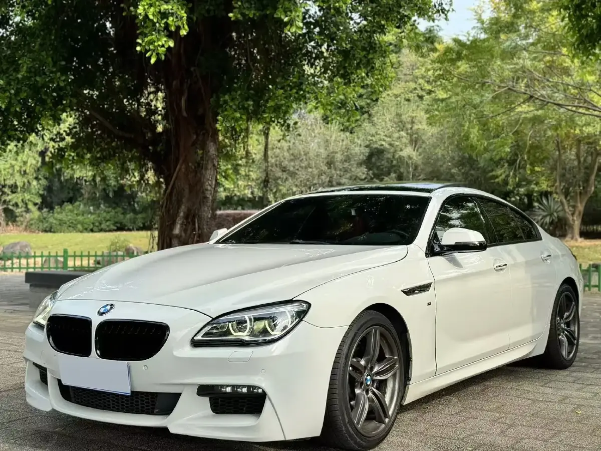 2016 BMW 6 Series 3.0T 320HP L6 8AT