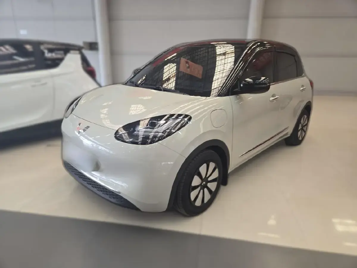 2023 WuLing BinGuo BEV 31.9KWH