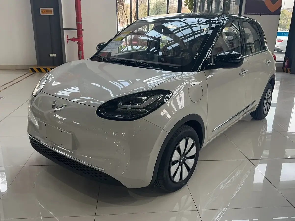 2024 WuLing BinGuo BEV 31.9KWH