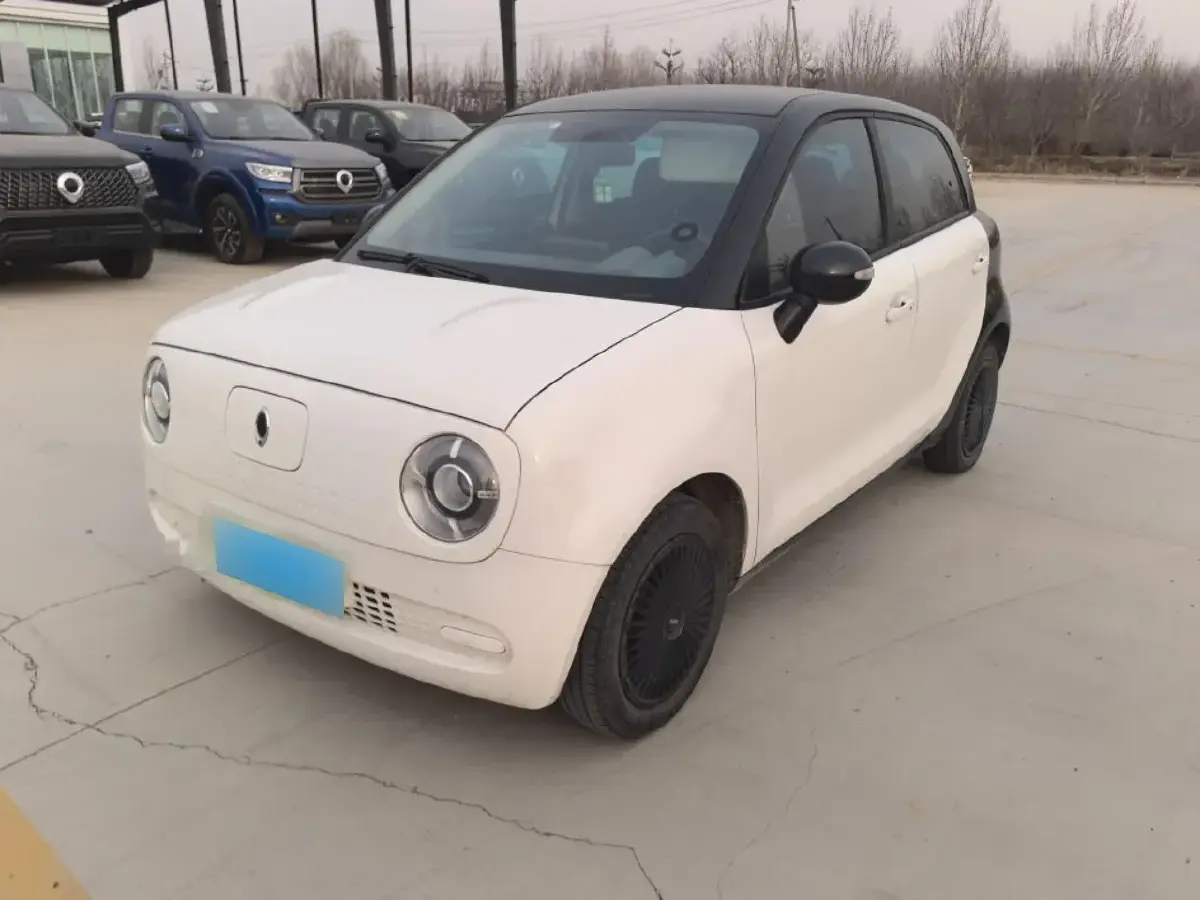 2021 Ora BlackCat BEV 28.5KWH