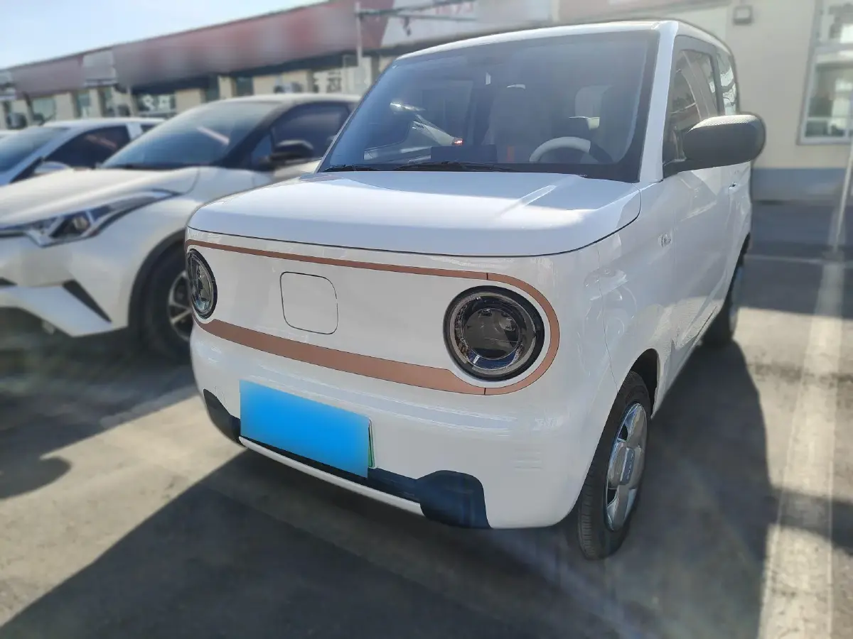 2024 Geely Panda BEV 17.03KWH