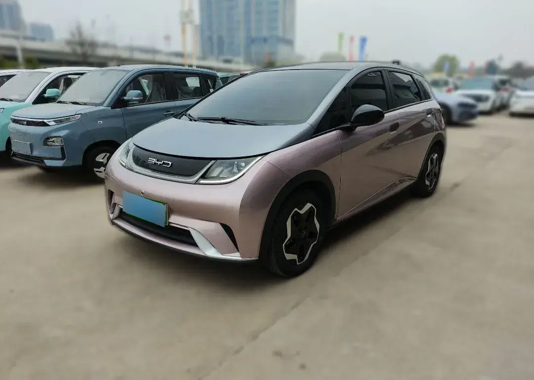 2021 BYD Dolphin BEV 44.9KWH