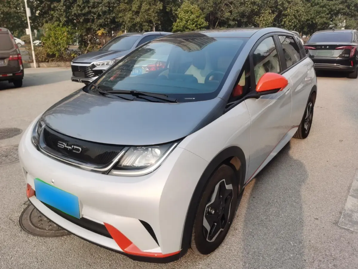 2021 BYD Dolphin BEV 44.9KWH