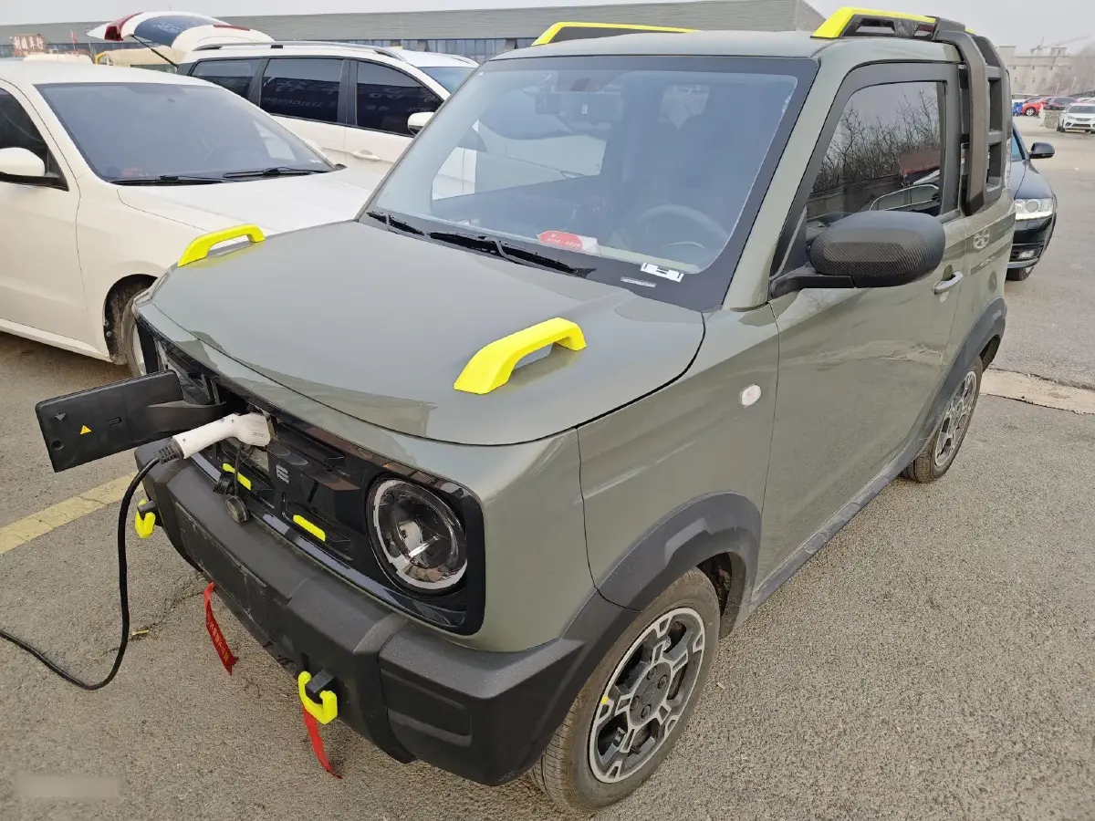 2024 Geely Panda BEV 17.03KWH