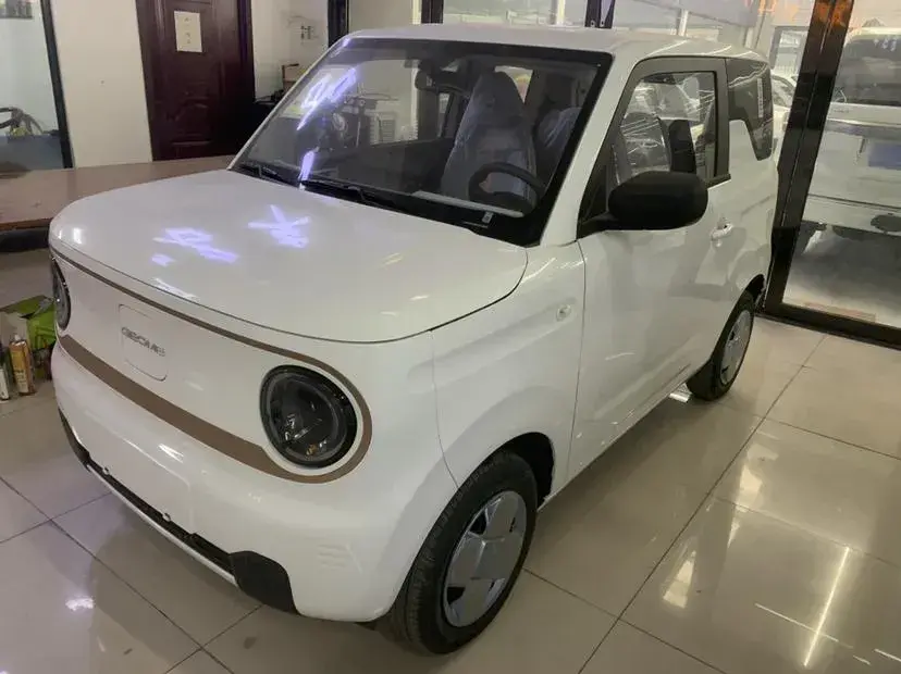 2024 Geely Panda BEV 17.03KWH
