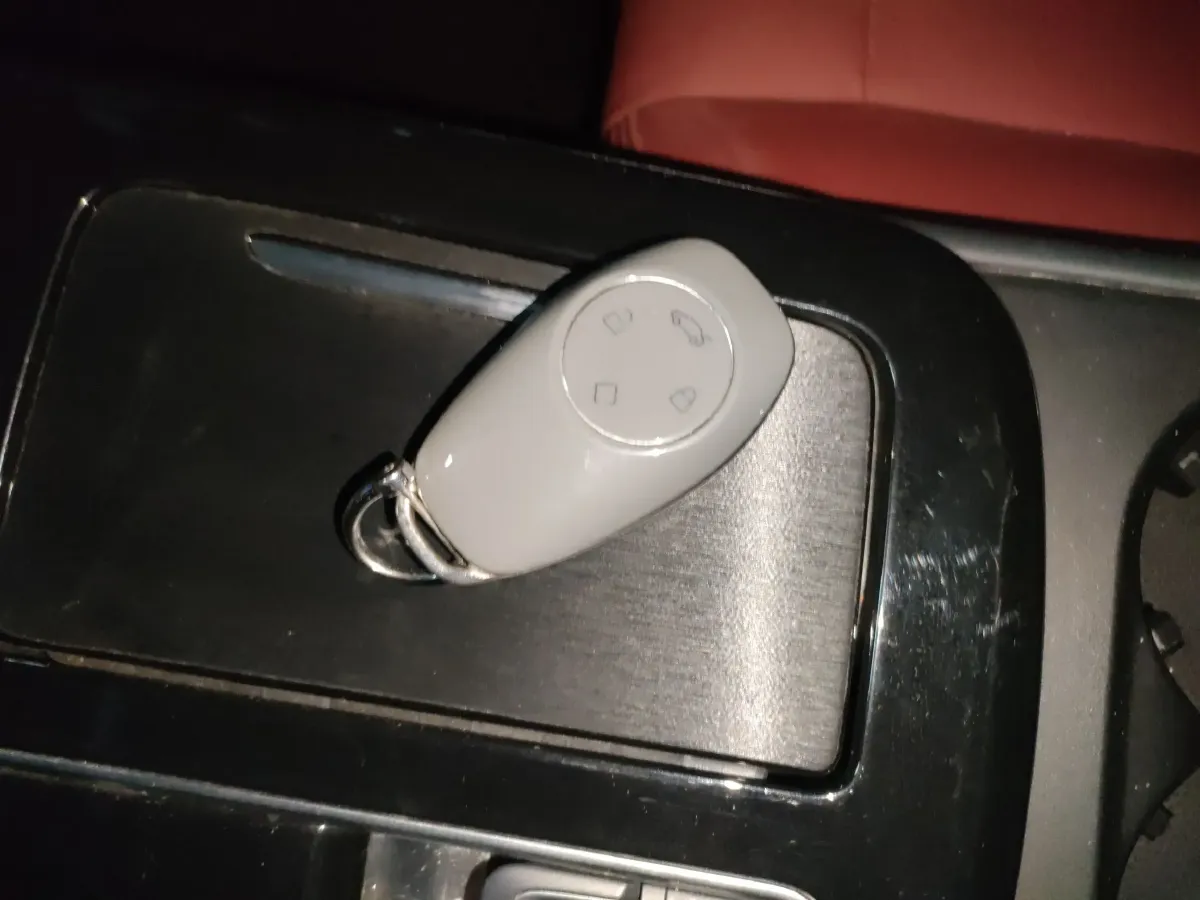 2020 Leapmotor S01 BEV 48KWH,autocango,china used car exporter,china ev exporter,chinese used car exporter,chinese used ev exporter