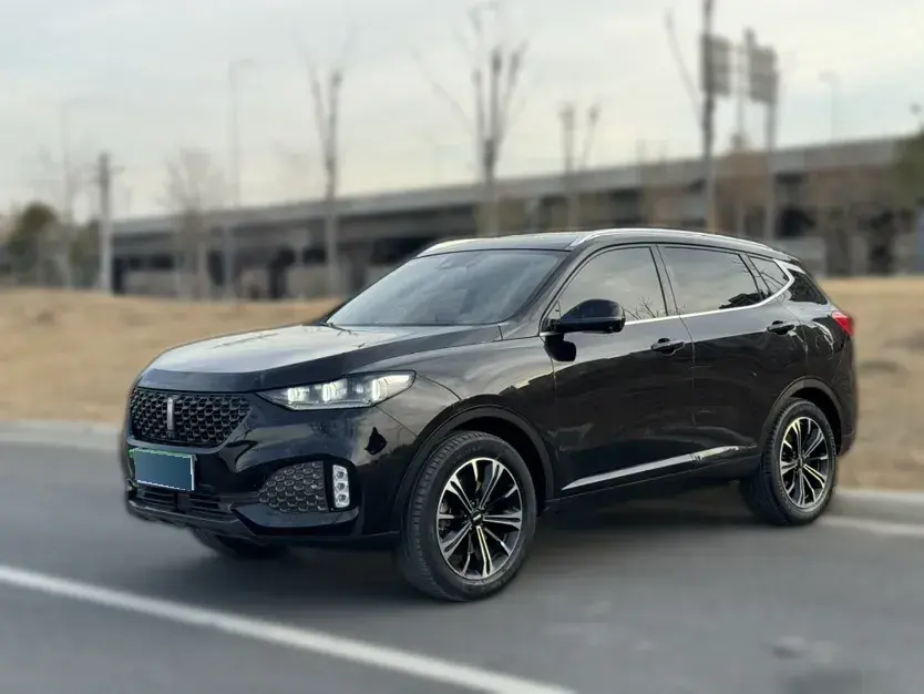 2020 WEY VV6 2.0T 227HP L4 7DCT