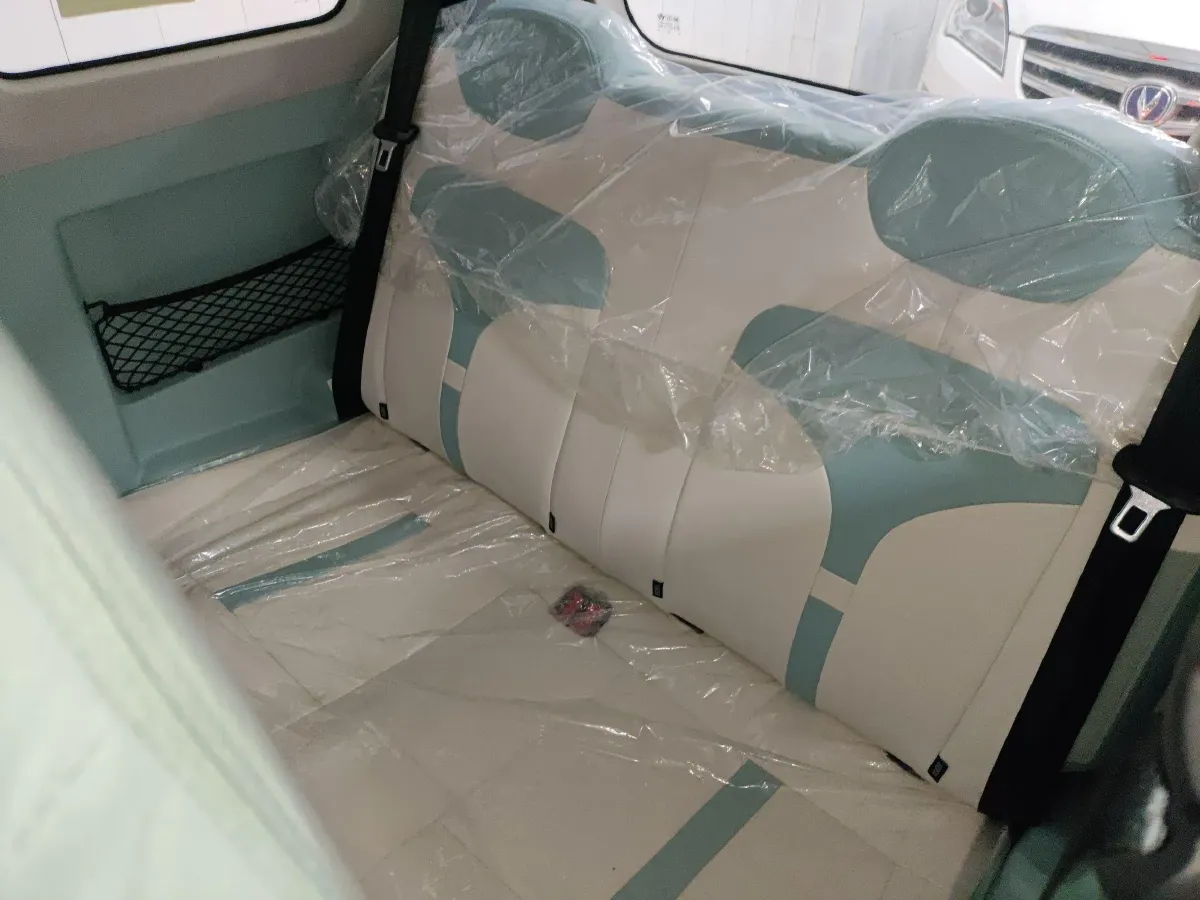 2024 ZD Rainbow BEV 17.3KWH,autocango,china used car exporter,china ev exporter,chinese used car exporter,chinese used ev exporter