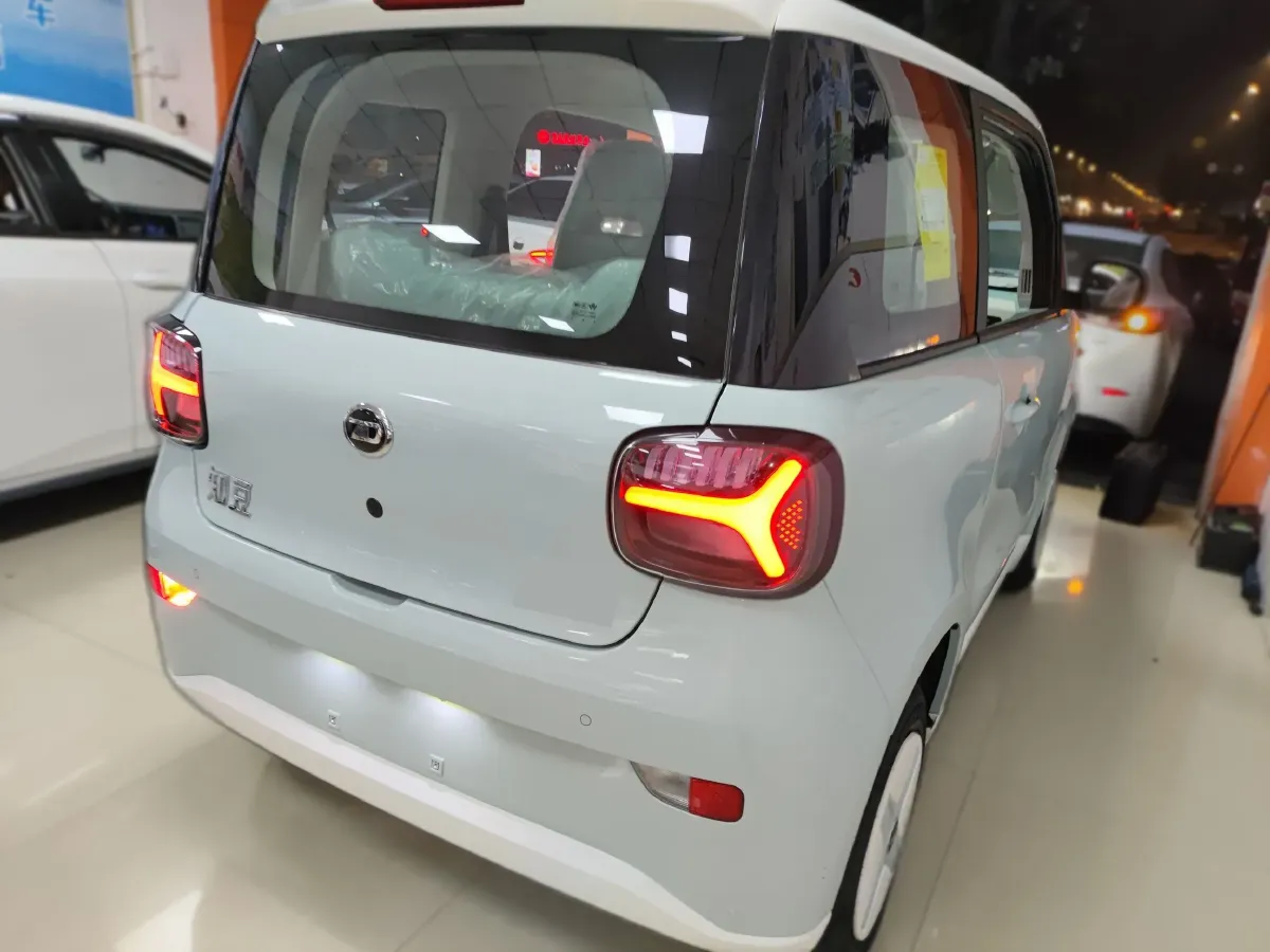2024 ZD Rainbow BEV 17.3KWH,autocango,china used car exporter,china ev exporter,chinese used car exporter,chinese used ev exporter