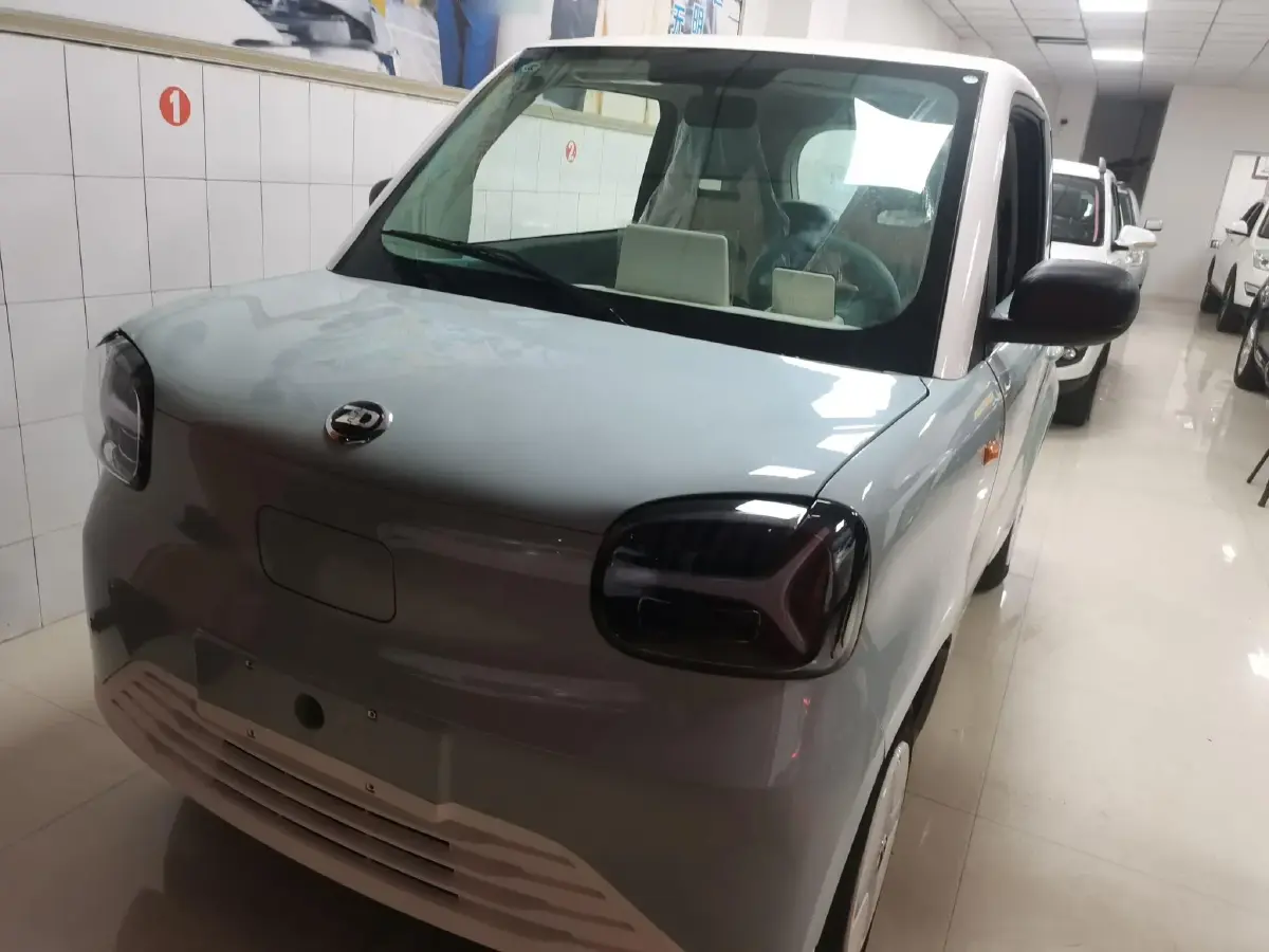 2024 ZD Rainbow BEV 17.3KWH