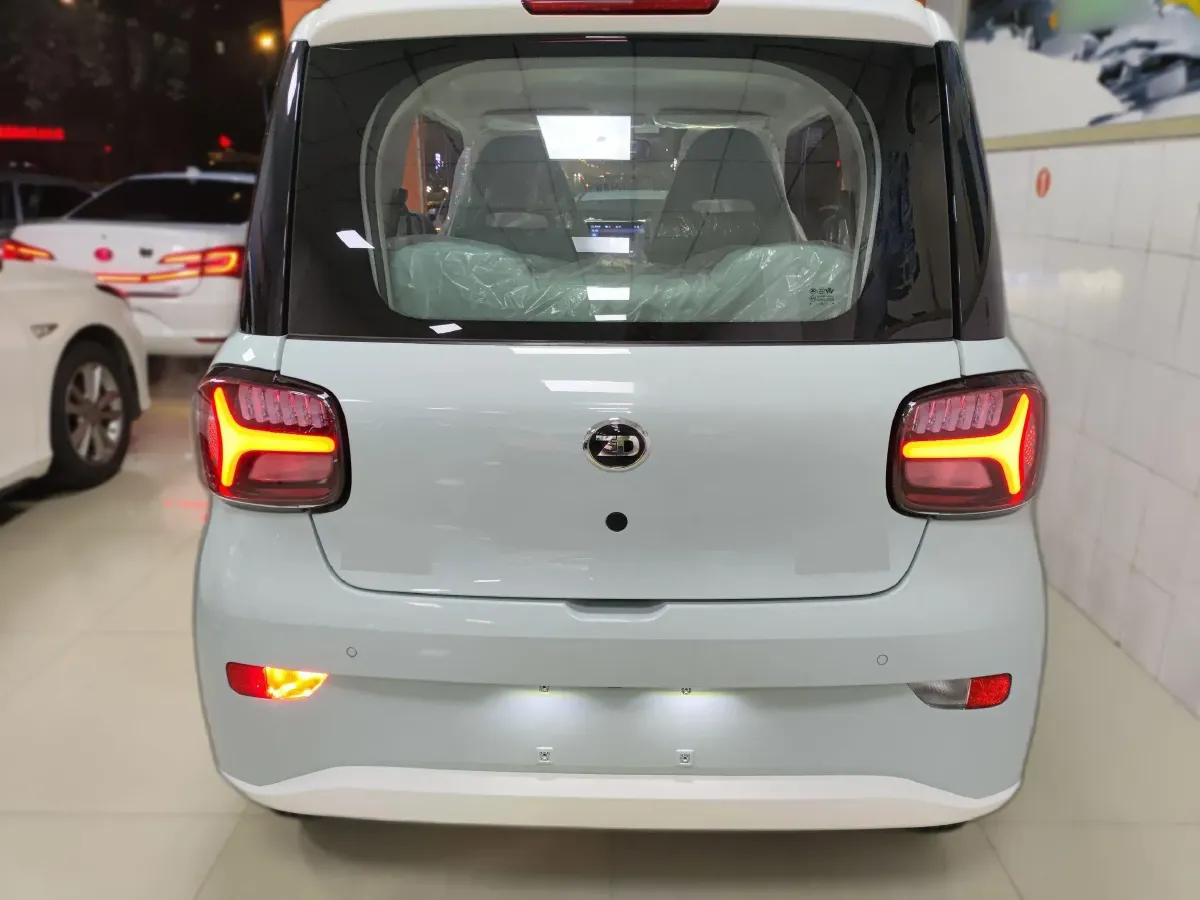 2024 ZD Rainbow BEV 17.3KWH,autocango,china used car exporter,china ev exporter,chinese used car exporter,chinese used ev exporter