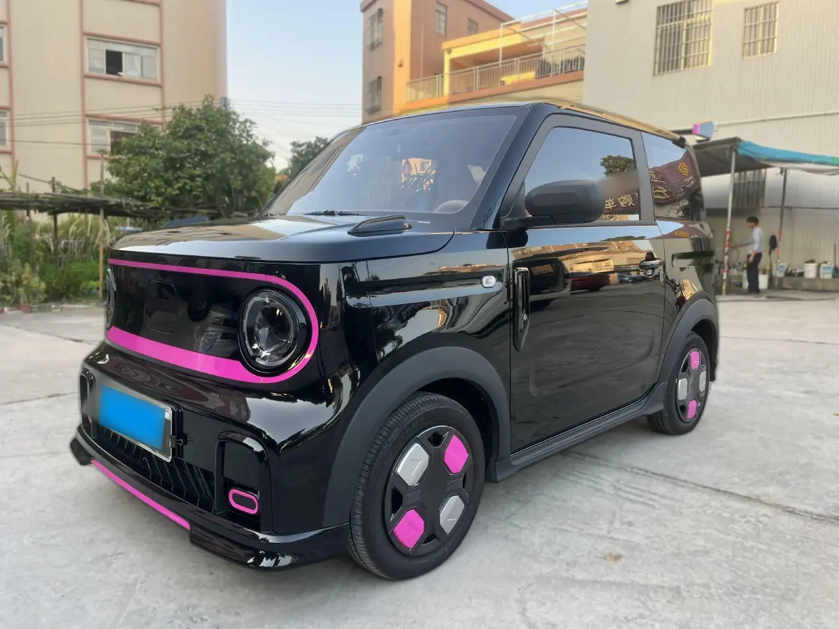 2024 Geely Panda BEV 17.03KWH