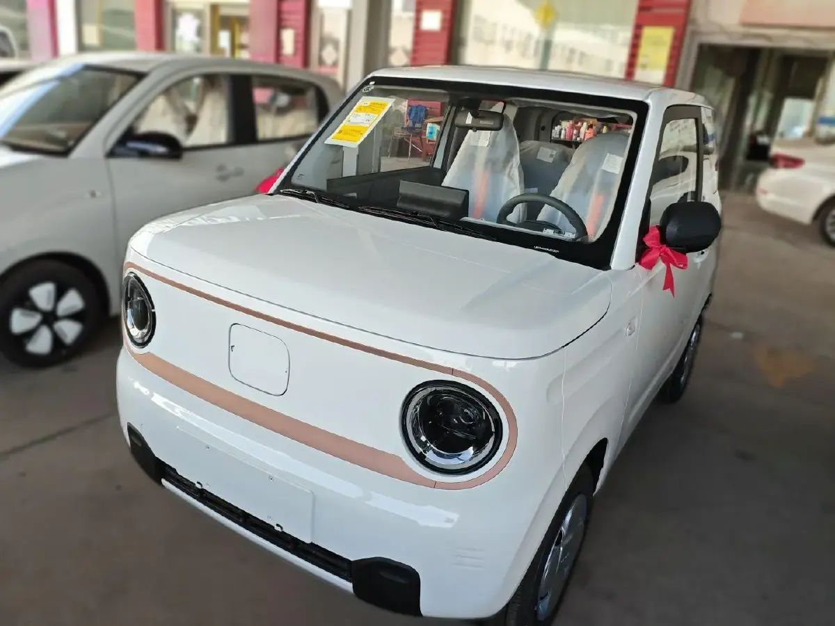 2024 Geely Panda BEV 17.03KWH
