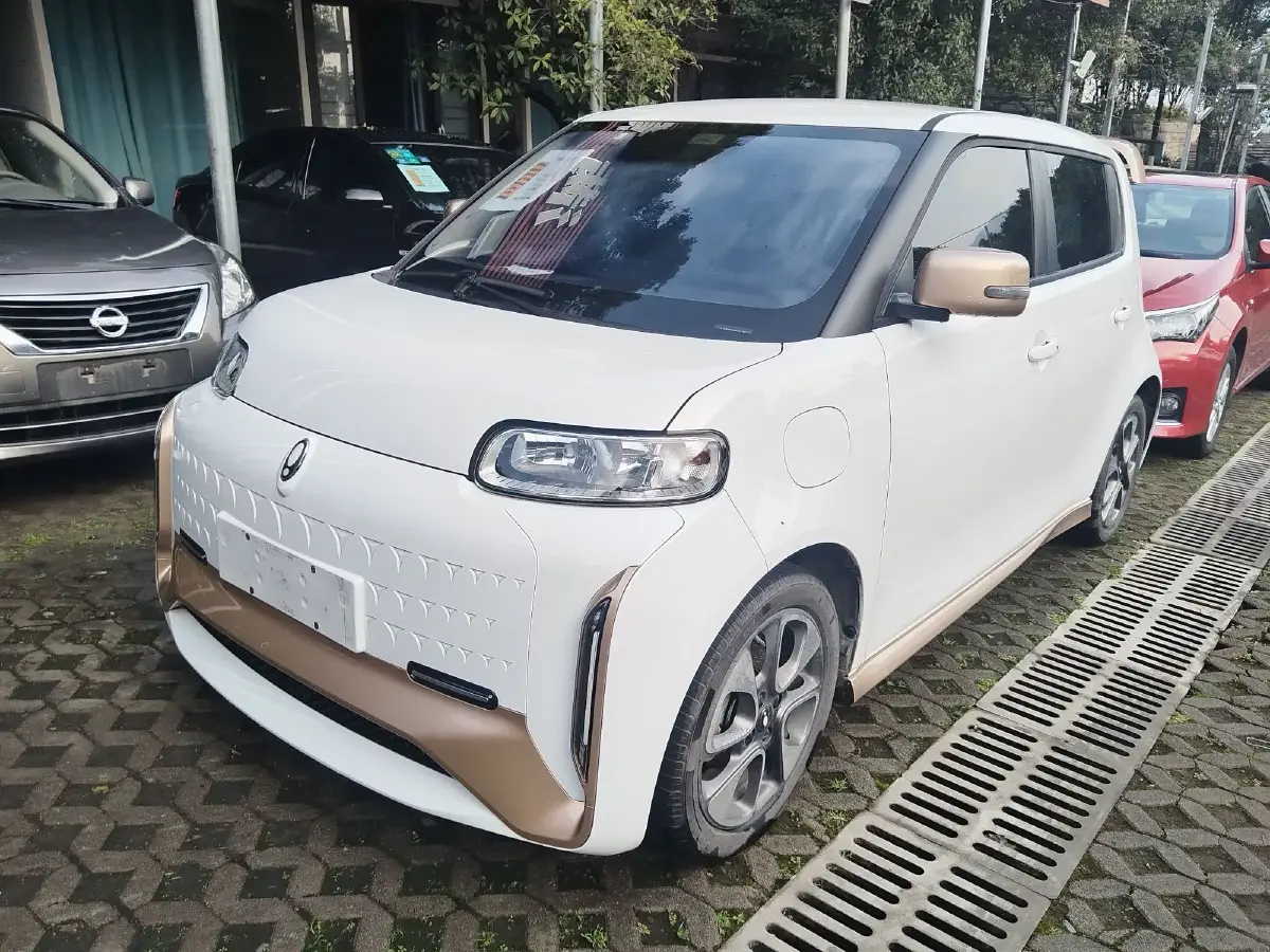 2020 Ora WhiteCat BEV 33KWH