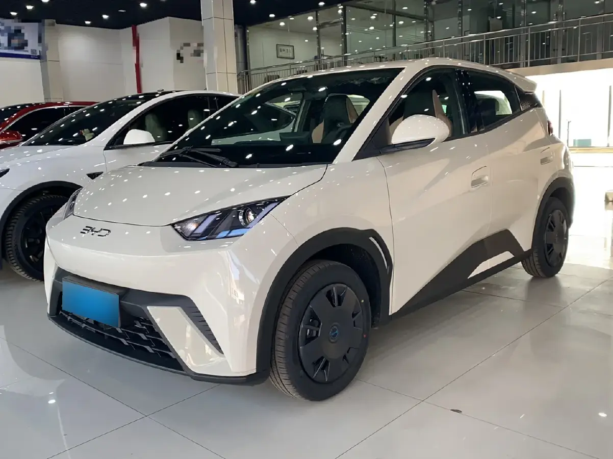 2025 BYD Seagull BEV 30.08KWH