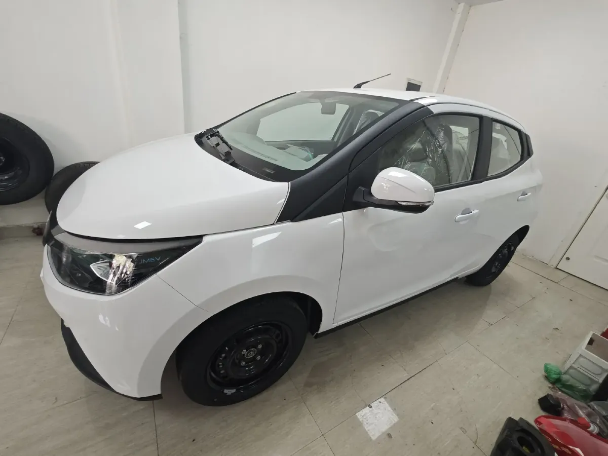 2024 JMEV Little Kylin BEV 15.86KWH,autocango,china used car exporter,china ev exporter,chinese used car exporter,chinese used ev exporter