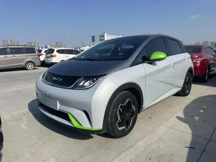 2021 BYD Dolphin BEV 44.9KWH