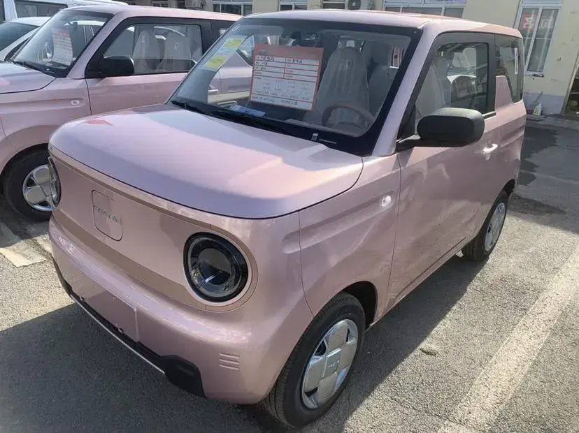 2024 Geely Panda BEV 17.03KWH