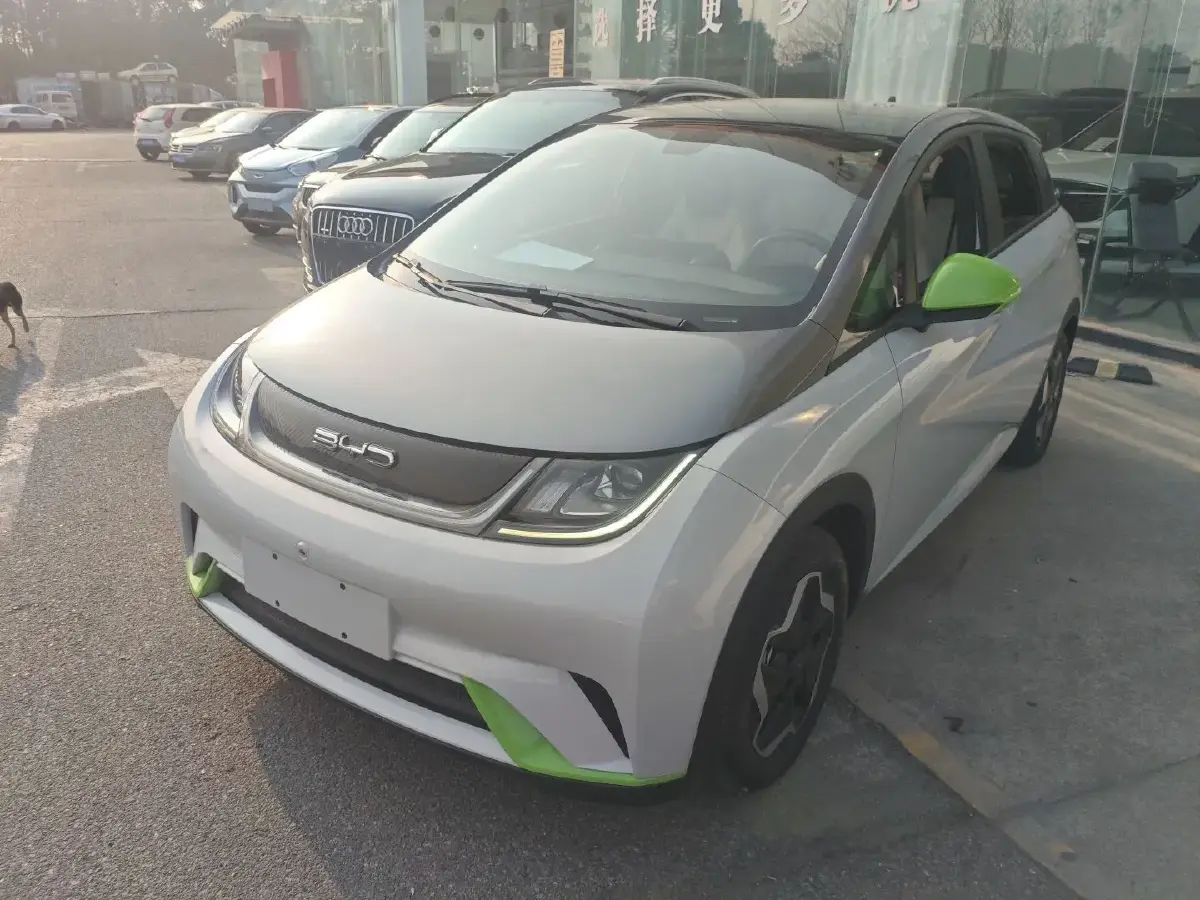 2021 BYD Dolphin BEV 44.9KWH