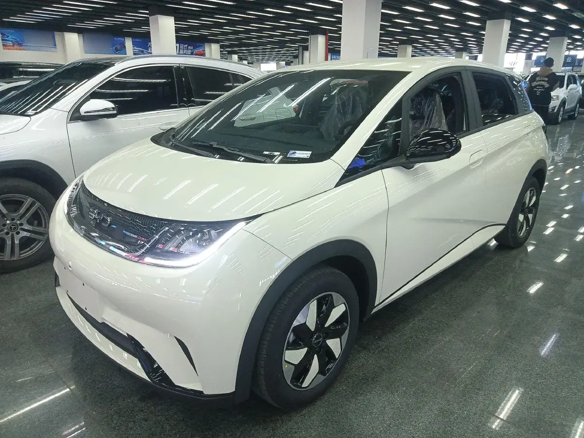 2025 BYD Dolphin BEV 44.928KWH