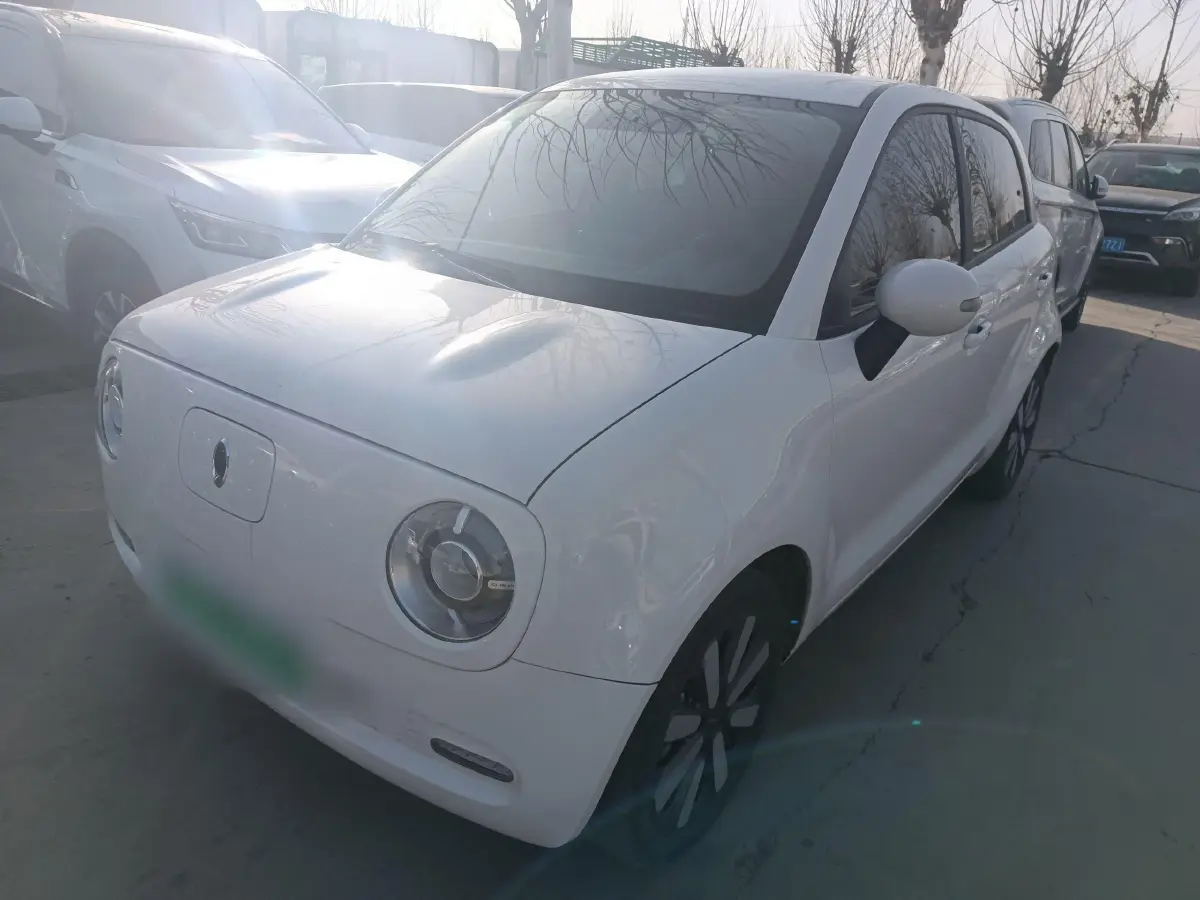 2021 Ora BlackCat BEV 33KWH