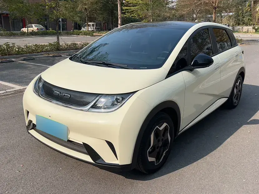 2021 BYD Dolphin BEV 44.9KWH