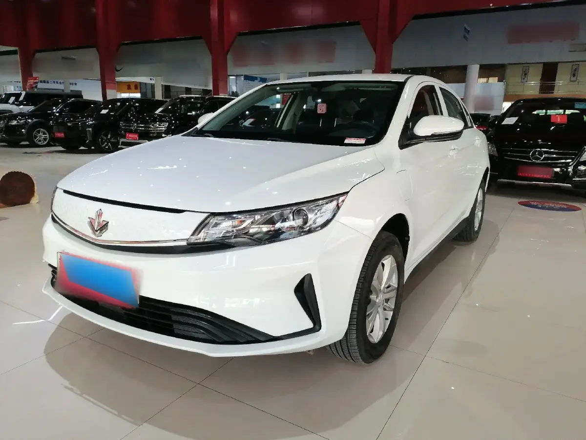 2022 Livan Maple 60s BEV 51.8KWH