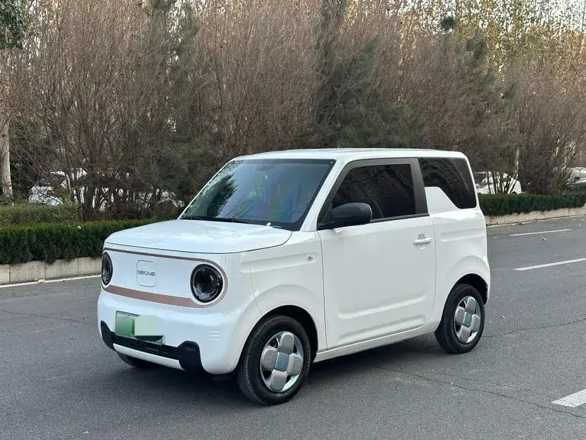 2024 Geely Panda BEV 17.03KWH