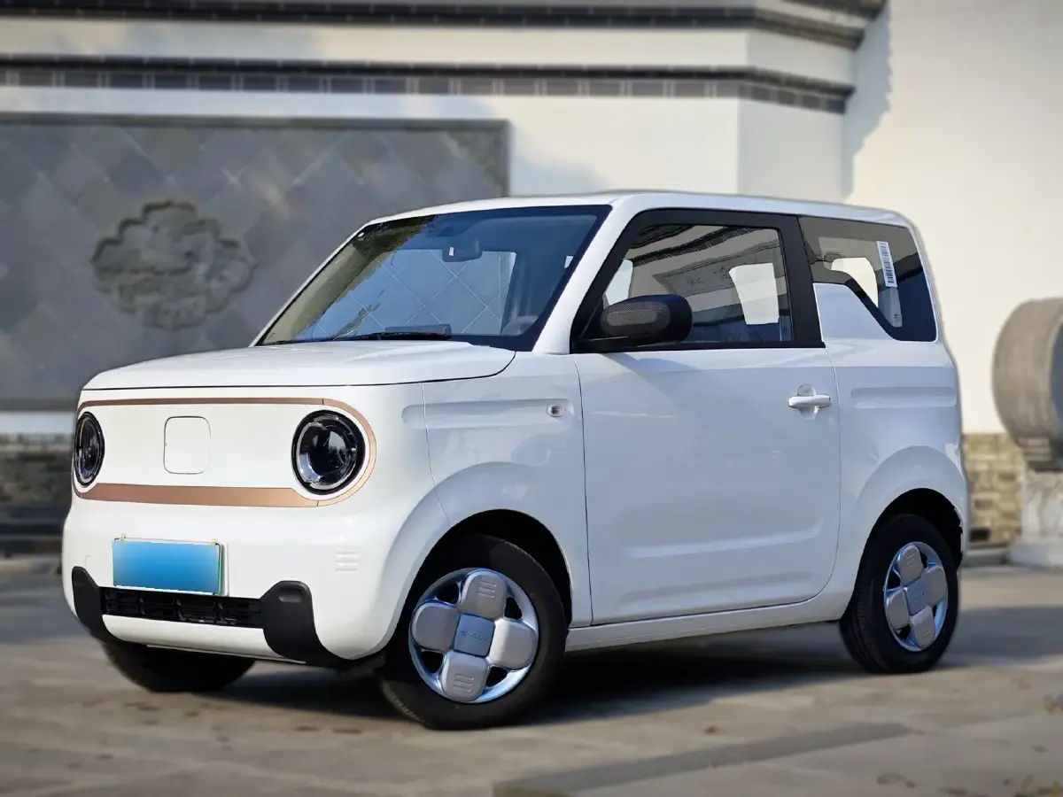 2024 Geely Panda BEV 17.03KWH