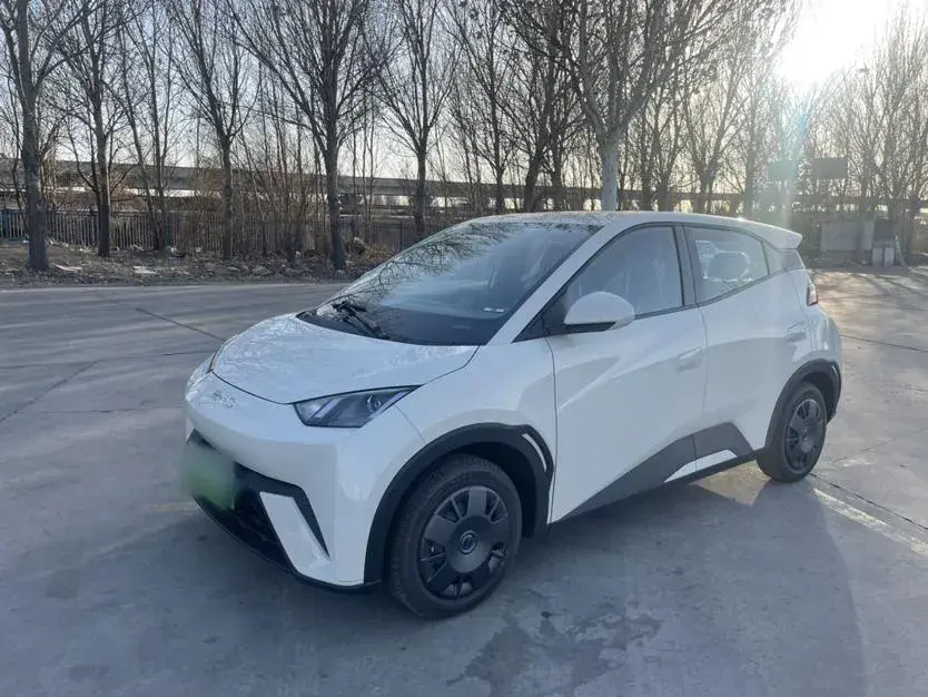 2025 BYD Seagull BEV 30.08KWH