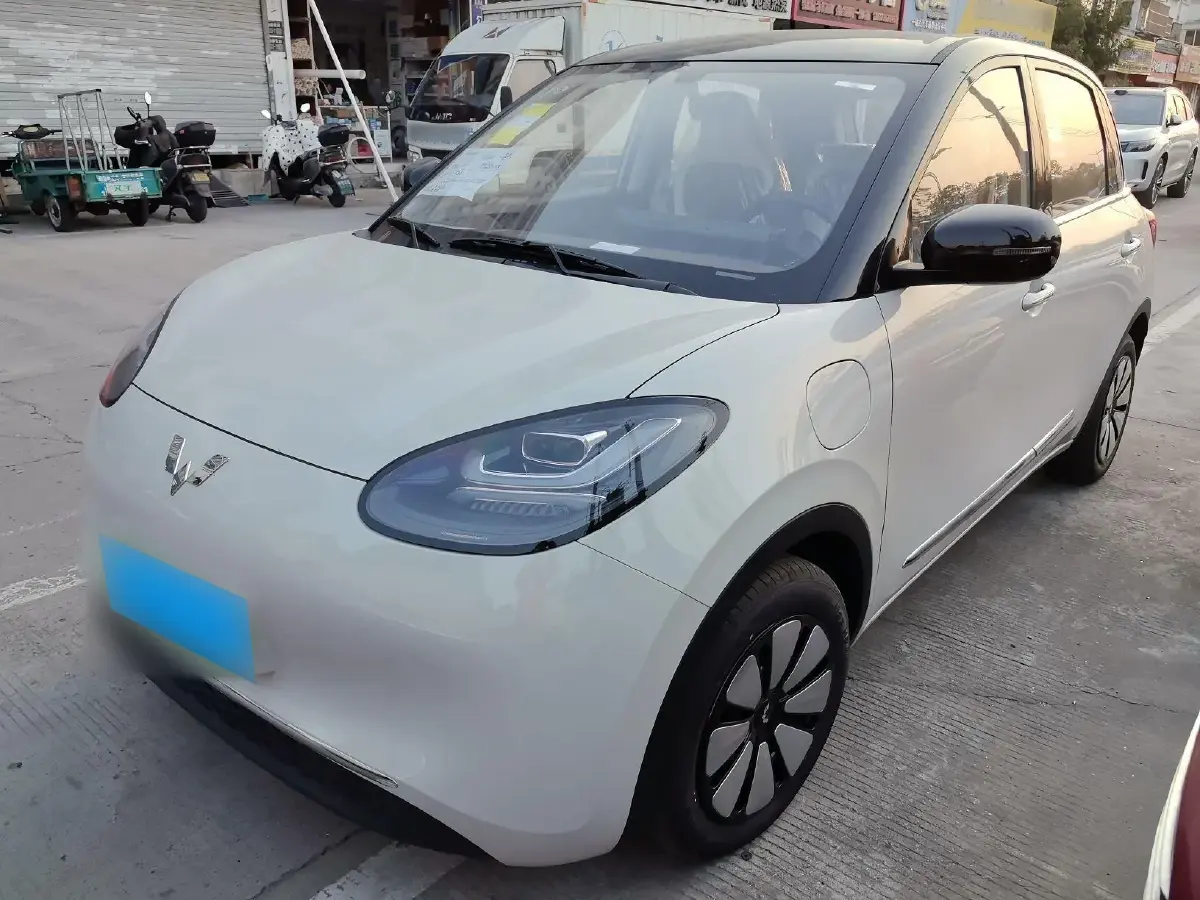 2024 WuLing BinGuo BEV 31.9KWH