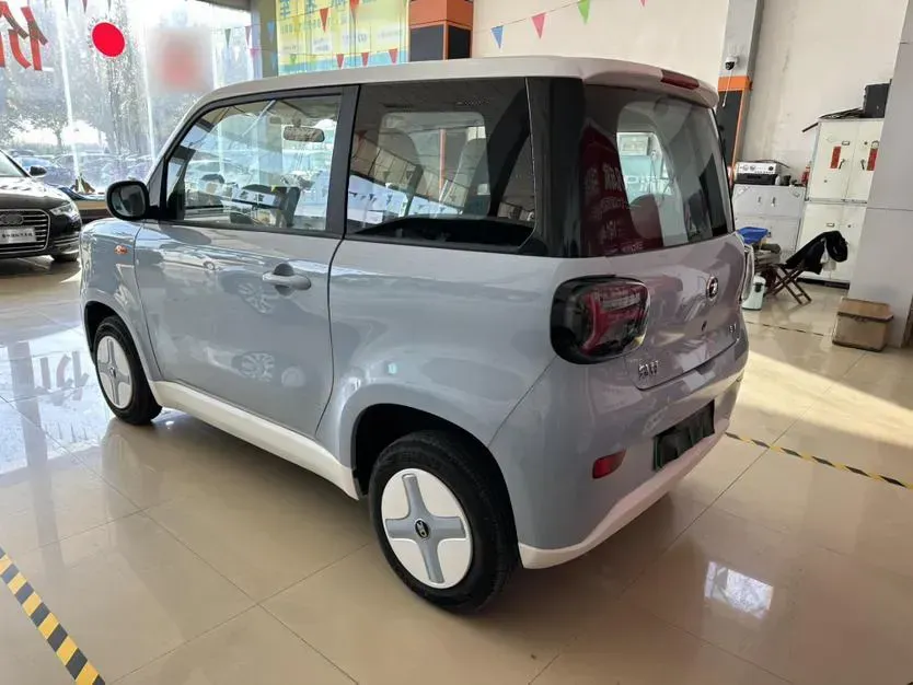 2024 ZD Rainbow BEV 17.3KWH,autocango,china used car exporter,china ev exporter,chinese used car exporter,chinese used ev exporter