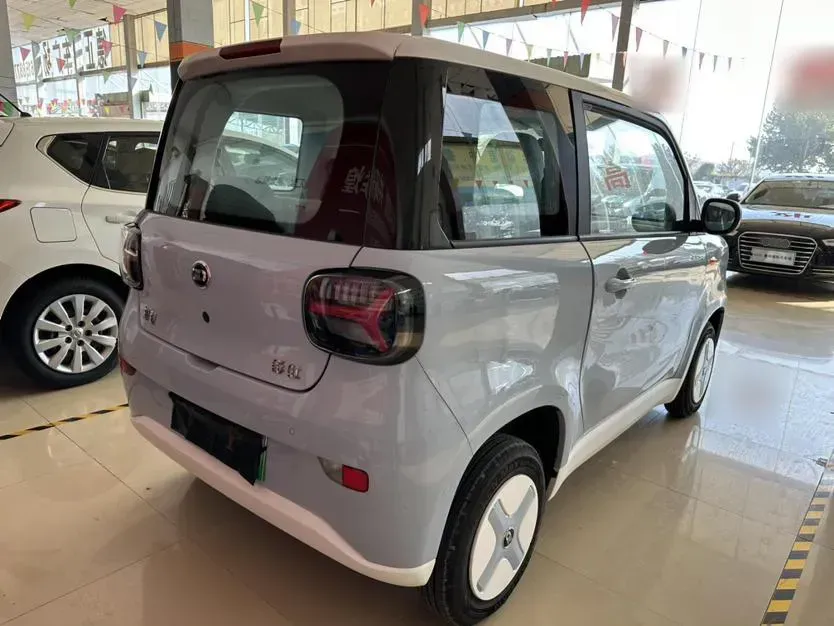 2024 ZD Rainbow BEV 17.3KWH,autocango,china used car exporter,china ev exporter,chinese used car exporter,chinese used ev exporter
