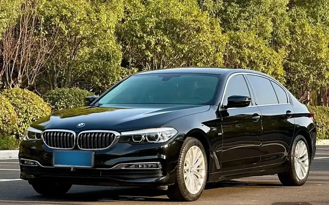 2019 BMW 5 Series 2.0T 252HP L4 8AT