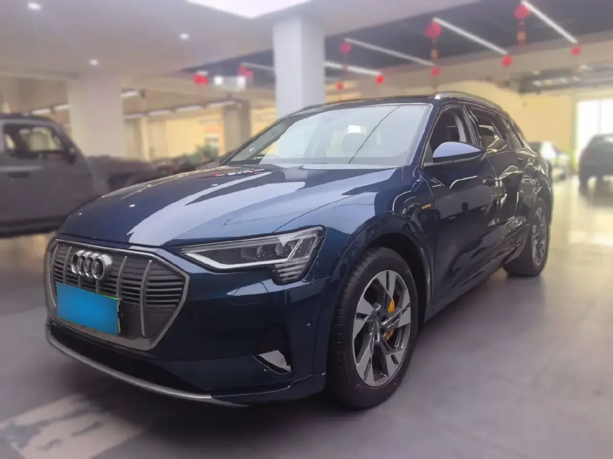 2019 Audi e-tron 2AT BEV 95KWH