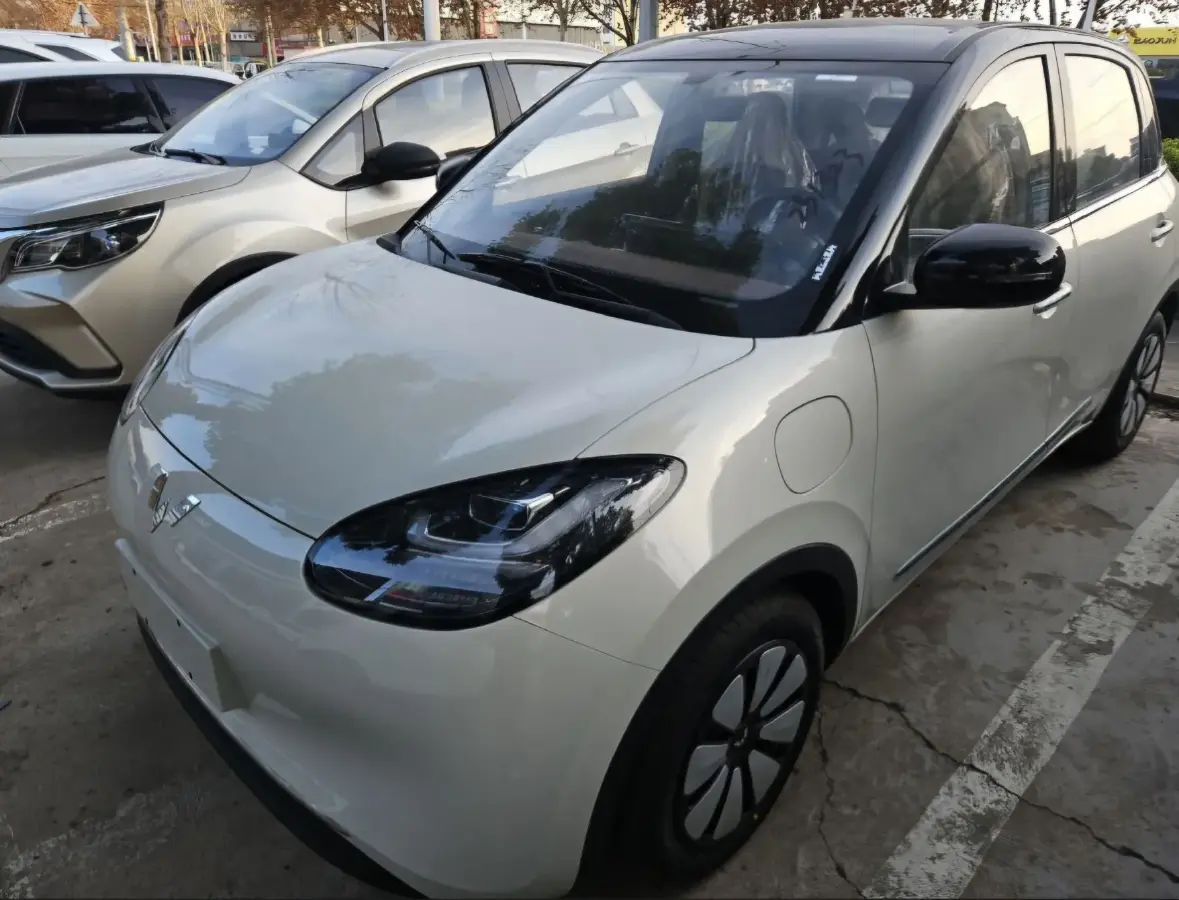 2024 WuLing BinGuo BEV 31.9KWH