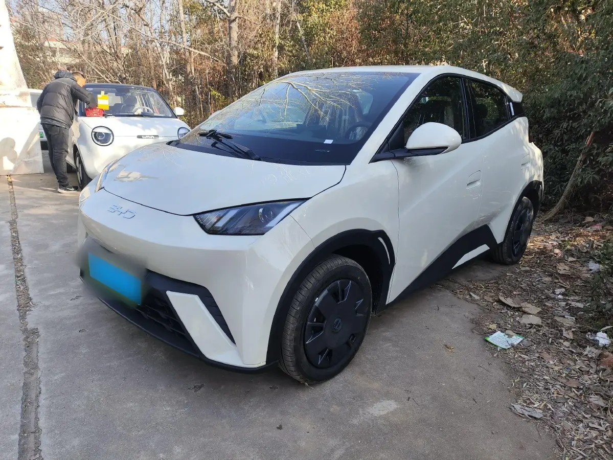 2024 BYD Seagull BEV 30.08KWH