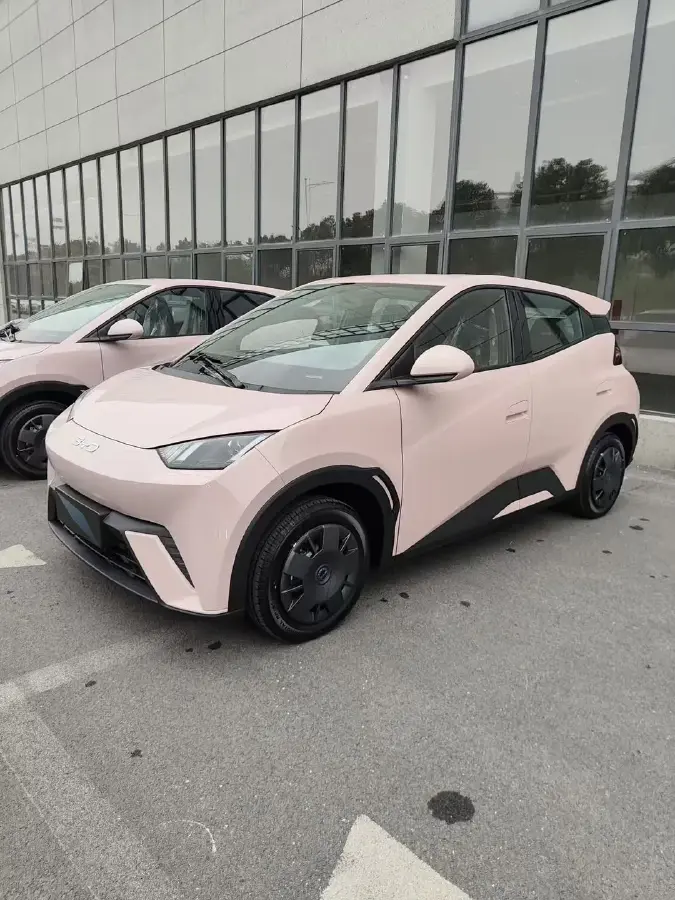 2025 BYD Seagull BEV 30.08KWH