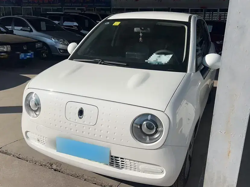 2019 Ora BlackCat BEV 33KWH