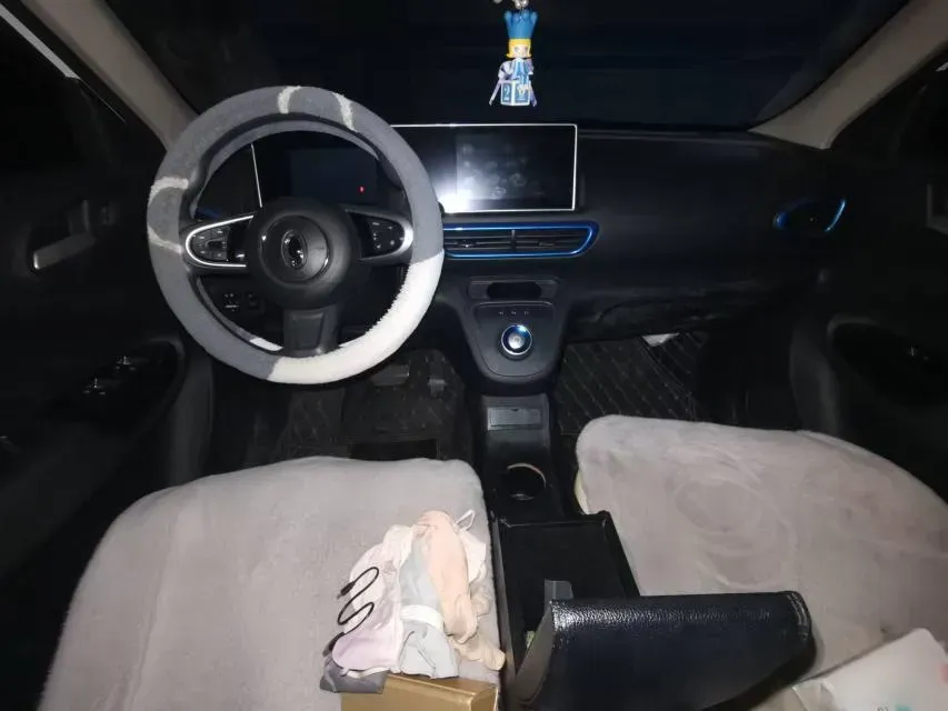 2020 Ora WhiteCat BEV 29.4KWH,autocango,china used car exporter,china ev exporter,chinese used car exporter,chinese used ev exporter