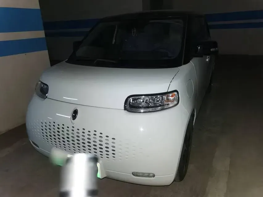 2020 Ora WhiteCat BEV 29.4KWH,autocango,china used car exporter,china ev exporter,chinese used car exporter,chinese used ev exporter