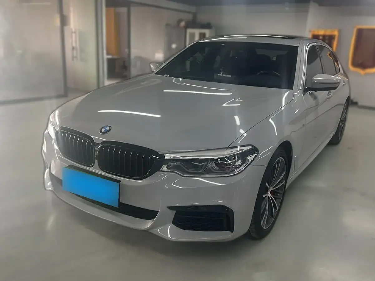 2020 BMW 5 Series 2.0T 252HP L4 8AT