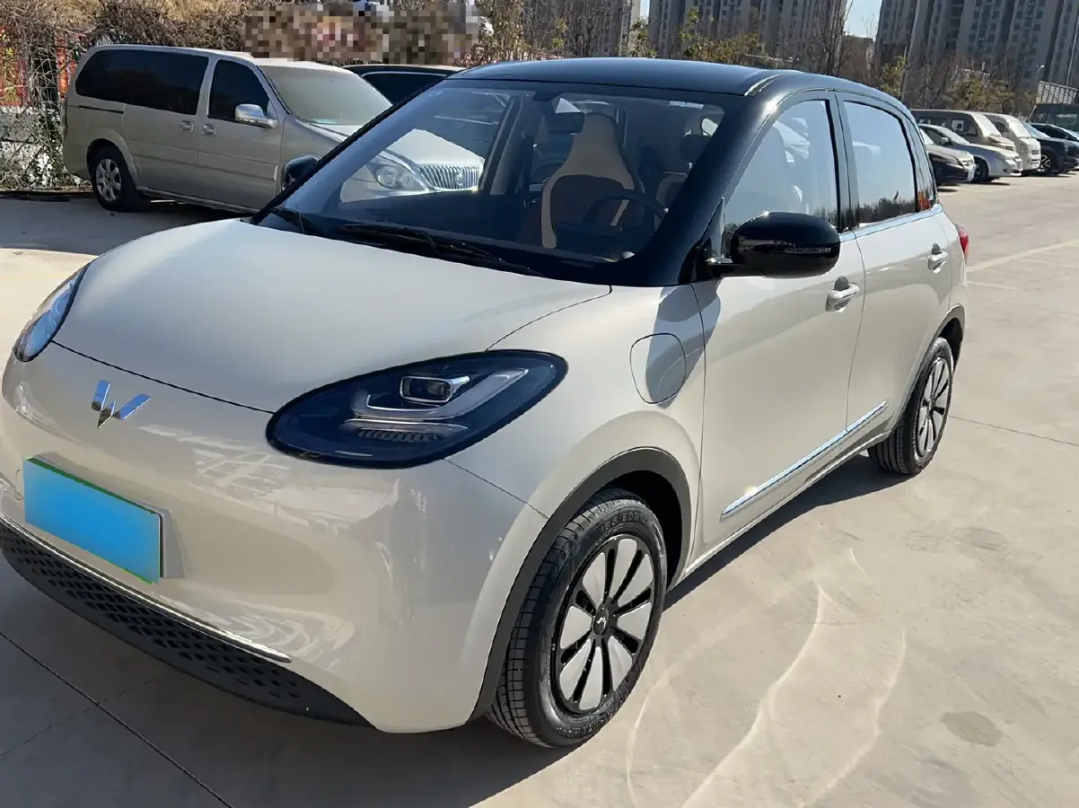 2024 WuLing BinGuo BEV 31.9KWH