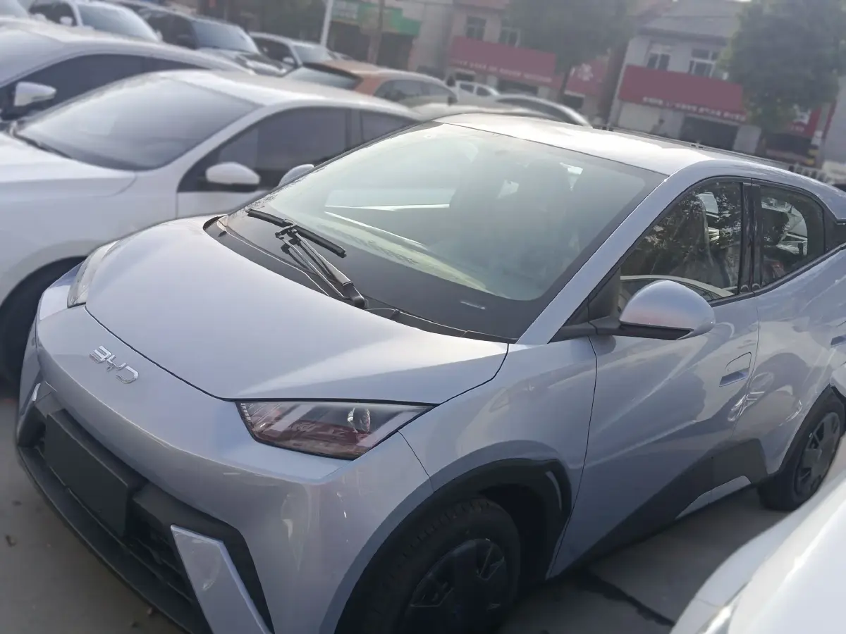 2025 BYD Seagull BEV 30.08KWH