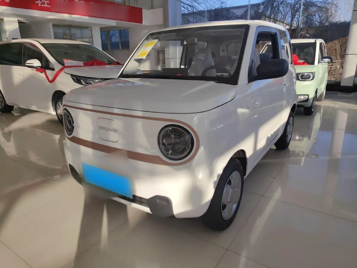2024 Geely Panda BEV 17.03KWH