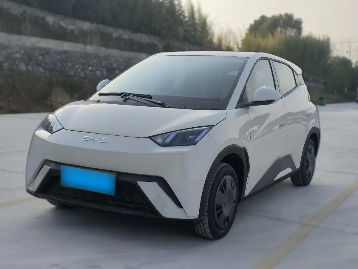 2025 BYD Seagull BEV 30.08KWH